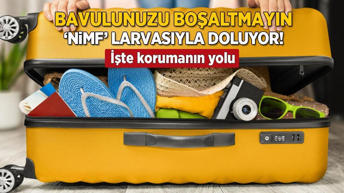 Bavulunuzu hemen boşaltmayın! 2 hafta beklemek şartmış, nemi hapsedip larva oluşturuyor