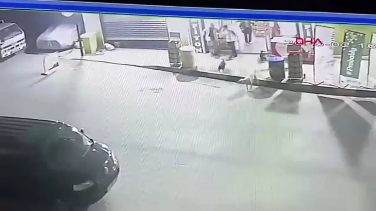 İzmir’de Markette Sokak Köpekleri İçin Darbettiklerini İleri Sürenler Tarafından Saldırıya Uğradı