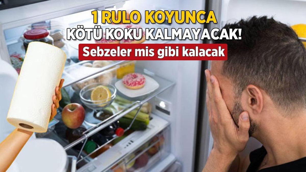 Sebzelere sinen buzdolabı kokusuna 1 rulo yetiyor! Buzlanma sorununa son, yeşillikler taptaze